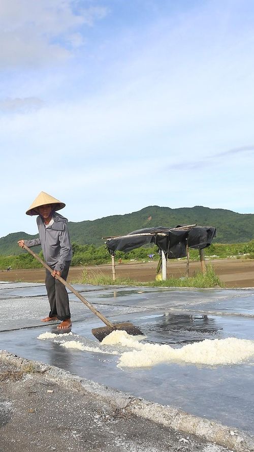 Đến khoảng 15 giờ hằng ngày, trên các ô nại, muối bắt đầu kết tinh. Tôi và các hộ dân hối hả bắt tay vào công đoạn thu hoạch.