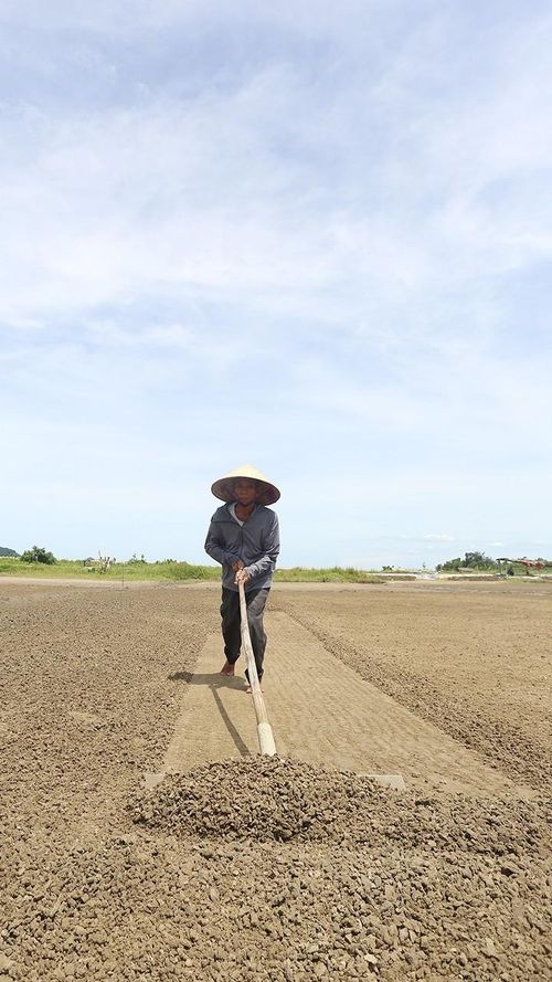 Đến 12 giờ trưa, giữa cái nắng như cháy da cháy thịt nhưng tôi vẫn phải ra đồng muối tiếp tục làm việc để kịp tiến độ.