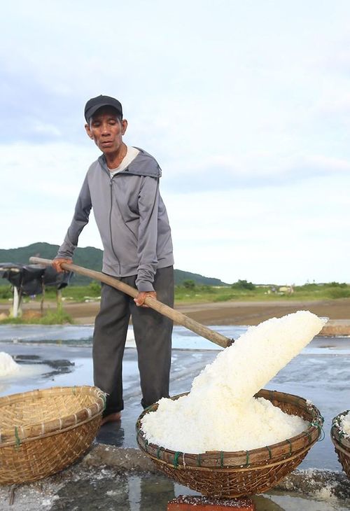 Với 2 sào ruộng muối, mỗi ngày tôi thu hoạch được khoảng 1 tạ rưỡi muối. Vất vả là vậy, nhưng hiện giá muối vừa rẻ, lại còn khó tiêu thụ.