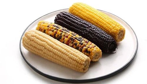 Hiện nay có rất nhiều giống ngô trên thị trường. (Ảnh Sohu)