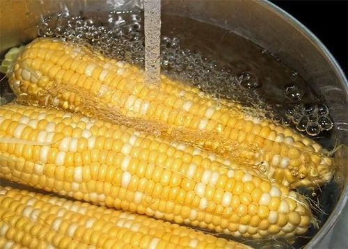Ngô mua về nên được làm sạch với 2-3 lần nước. (Ảnh Sohu)
