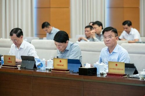  Các đại biểu dự họp 