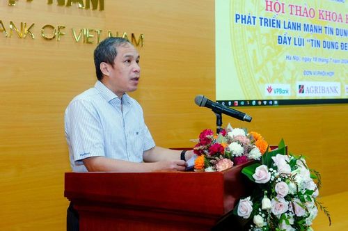  Phó Thống đốc Ngân hàng Nhà nước Đoàn Thái Sơn. (Ảnh: Vietnam+) 