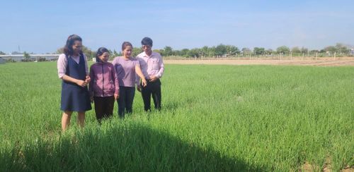 Tín dụng chính sách ở Ninh Thuân được quan tâm thực hiện tốt, đáp ứng nhu cầu vay vốn của hộ nghèo và các đối tượng chính sách khác.