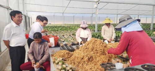 Nỗ lực đóng góp vào sự phát triển của địa phương, ngành Ngân hàng trên địa bàn Ninh Thuận đã và đang triển khai thực hiện nhiều giải pháp đồng bộ.