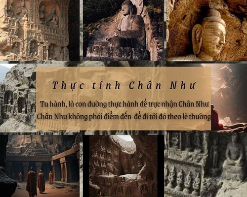 Thực tính Chân Như ?