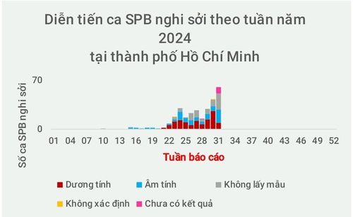  Biểu đồ diễn tiến ca bệnh sốt phát ban nghi sởi tại TP.HCM năm 2024. Ảnh: Medinet. 