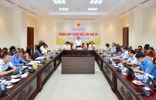 Quang cảnh phiên họp toàn thể lần thứ 25