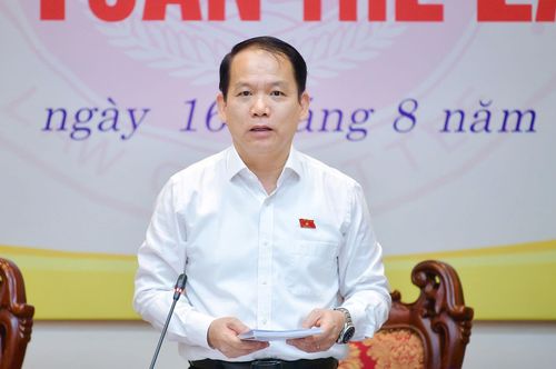 Chủ nhiệm Ủy ban Pháp luật Hoàng Thanh Tùng phát biểu