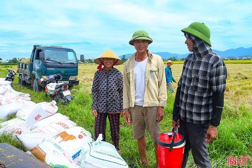 Nông dân Hà Tĩnh phấn khởi chia sẻ về giá lúa tươi được thu mua ở mức cao.