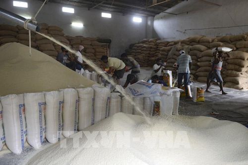 Công nhân làm việc tại một nhà máy xay xát gạo ở Hyderabad, Ấn Độ. Ảnh: AFP/TTXVN