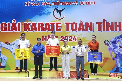  Chung cuộc, đội TP Hà Tĩnh giành giải nhất toàn đoàn, huyện Hương Khê giành giải nhì và giải ba thuộc về thị xã Kỳ Anh. 