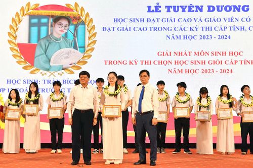 Em Trần Bích Ngọc tại Lễ Tuyên dương học sinh đoạt giải cao trong các kỳ thi cấp tỉnh, cấp quốc gia.