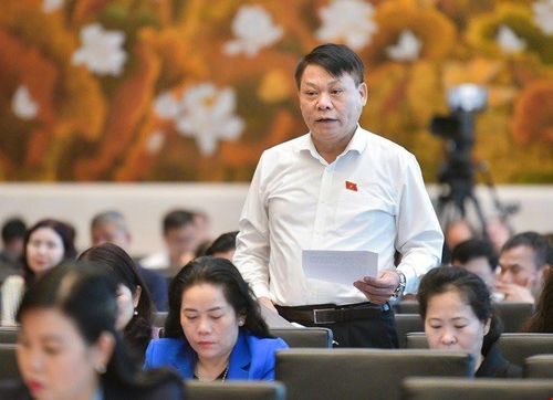 Ông Nguyễn Thành Nam phát biểu