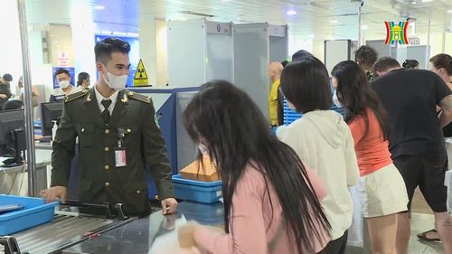 Theo Cục Hàng không Việt Nam, dịp nghỉ lễ 2/9, các hãng hàng không cung ứng đa dạng mức giá vé trên các đường bay nội địa.