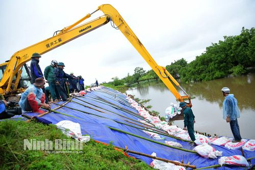 Đoàn kiểm tra tuyến đê hữu sông Đáy đoạn qua địa bàn xã Hùng Tiến, huyện Kim Sơn.