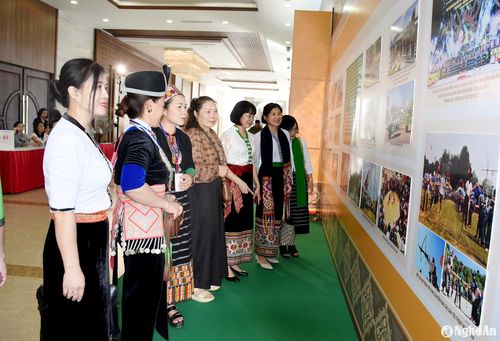 Các đại biểu tham quan triển lãm ảnh. Ảnh: Công Kiên