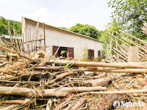 Bùn đất, cây cối, rác thải ùn ứ… Ảnh: H.T