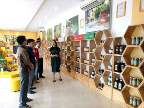 Cải tạo, nâng cấp nội thất showroom trưng bày và giới thiệu các sản phẩm ngành ong