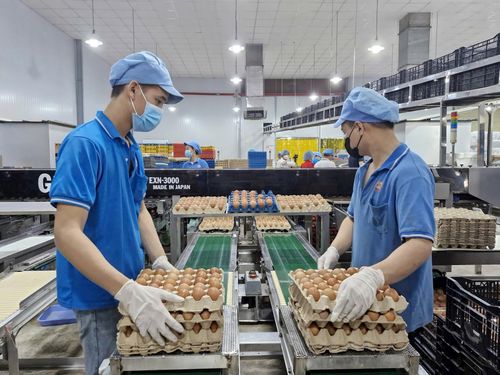 Nhiều doanh nghiệp lên kế hoạch sản xuất cho thị trường tiêu dùng dịp cuối năm.