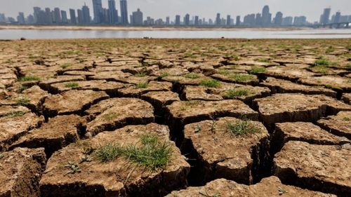 Lòng sông khô cạn trong đợt hạn hán ở tỉnh Giang Tây (Trung Quốc) năm 2022. Ảnh: Reuters