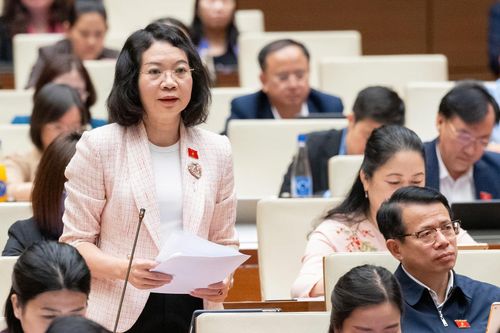 Đại biểu Mai Thị Phương Hoa (Đoàn Nam Định) phát biểu thảo luận. Ảnh: media.quochoi.vn