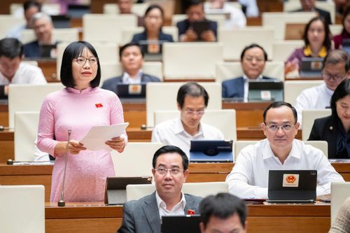Đại biểu Nguyễn Thị Việt Nga (Đoàn Hải Dương) thảo luận tại phiên họp. Ảnh: media.quochoi.vn