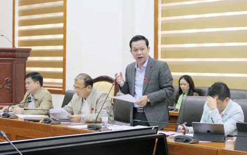 Đại biểu huyện Tân Uyên tham gia ý kiến thảo luận tổ.