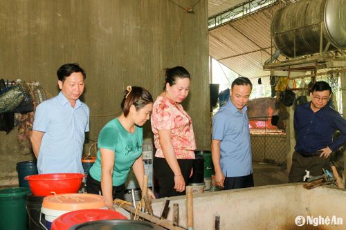 Các đồng chí Đinh Hồng Vinh - Phó Bí thư Huyện ủy, Chủ tịch UBND huyện; Lô Thanh Nhất - Phó Chủ tịch UBND huyện Tương Dương tham quan mô hình chăn nuôi ở bản Sơn Hà, xã Tam Quang. Ảnh: Đình Tuân