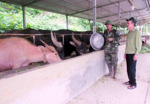 NCT thôn Tây An, xã Mường So tích cực tham gia phát triển kinh tế.