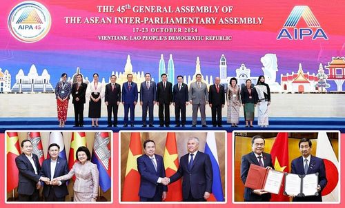 Công tác đối ngoại của Quốc hội năm 2024 đã đạt được nhiều thành tựu quan trọng. (Ảnh: Quốc hội)