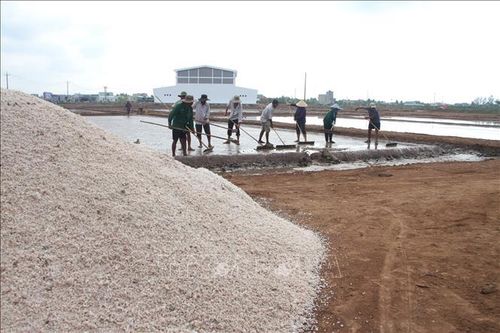 Năm 2024, việc sản xuất muối của các hộ dân trên địa bàn tỉnh tiếp tục thuận lợi nhờ nắng nóng kéo dài.