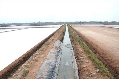 Các mương dẫn nước vào ruộng muối cũng đang được diêm dân chuẩn bị kỹ lưỡng trước khi đưa nước vào ruộng phơi.