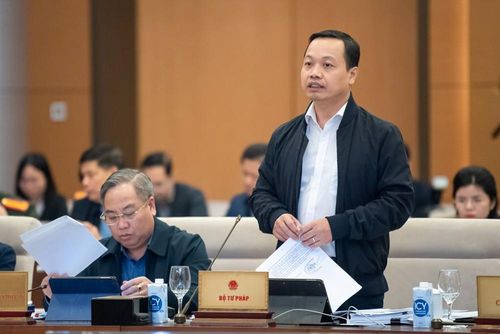 Thứ trưởng Bộ Tư pháp Trần Tiến Dũng trình bày tờ trình của Chính phủ