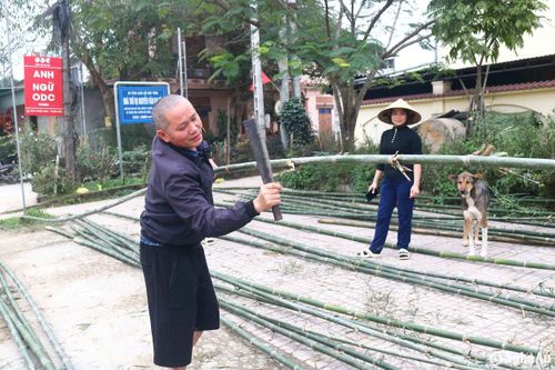 Anh Nguyễn Hữu Trường (45 tuổi) ở xã Thuận Sơn (Đô Lương) đang bán cây may cần ven Quốc lộ 46 chia sẻ: "6 năm nay, Tết năm nào tôi cũng đi buôn may cần để kiếm thêm thu nhập. Tôi mua may cần của các hộ dân Thanh Chương, tự đi chặt, rồi chở về bán. Bán hết lại đi chặt tiếp, không chặt 1 lần, cây đổ hết lá người dân kén mua". Ảnh: Huy Thư