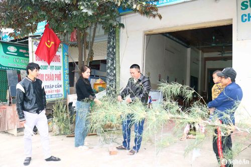 Mặc dù còn 2 ngày nữa mới đến ngày 23 tháng Chạp, nhưng nhiều hộ gia đình đã tổ chức làm cây nêu, dựng cây nêu đón Tết trước nhà. Trong ảnh: Một hộ dân xã Thuận Sơn (Đô Lương) đang làm nêu Tết. Ảnh: Huy Thư