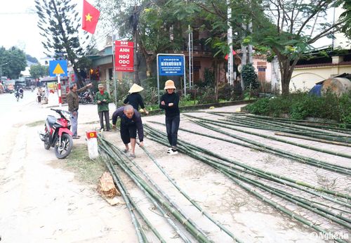 Những điểm bán cây may cần có thể lựa chọn, xếp sẵn từng loại cây (đẹp, vừa, xấu) để bán cho người dân với giá 100.000 - 180.000 đồng/cây. Ảnh: Huy Thư