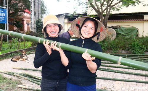 Đa số người đi mua cây may cần về làm nêu đều thích chọn cây thẳng, dài, có ngọn cong vút, để làm được những cây nêu cao, đẹp. Ảnh: Huy Thư