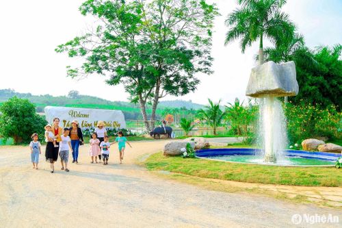 Du khách tham quan thung lũng hoa Phủ Quỳ. Ảnh: Đình Tuyên