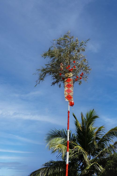 Cây Nêu nổi bật trên nền trời xanh.