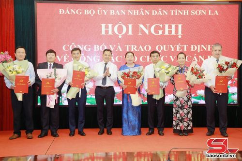 Đồng chí Nguyễn Đình Việt, Phó Bí thư Tỉnh ủy, Bí thư Đảng ủy UBND tỉnh, Chủ tịch UBND tỉnh trao quyết định thành lập các chi bộ, đảng bộ cơ sở.