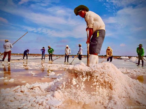 Hầu hết người dân làng muối chỉ sản xuất theo kinh nghiệm truyền thống, chưa biết áp dụng khoa học kỹ thuật nên giá trị kinh tế không cao. Ảnh: Nguyên Du.