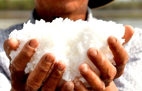 Vất vả làm muối nhưng diêm dân không giàu lên được bằng nghề.