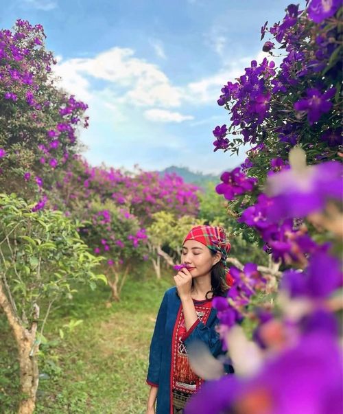 Đối với người dân nơi đây, hoa sim không chỉ tô điểm cho cảnh sắc núi rừng mà còn gắn liền với những kỷ niệm tuổi thơ, những câu chuyện tình yêu mộc mạc, chân thành.