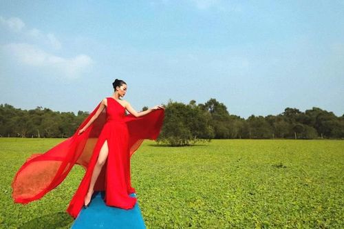 Nguồn cảm hứng bất tận cho giới showbiz