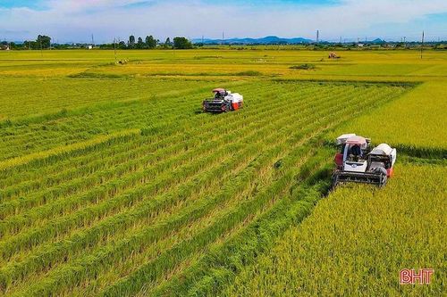  Hà Tĩnh tập trung phát triển nông nghiệp xanh, nông nghiệp hữu cơ phù hợp với thực tiễn sản xuất. 