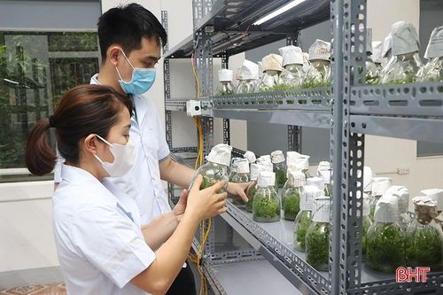  Hà Tĩnh khuyến khích các doanh nghiệp, nhất là doanh nghiệp nhỏ và vừa đầu tư vào chuyển đổi số, nghiên cứu và ứng dụng khoa học công nghệ. 
