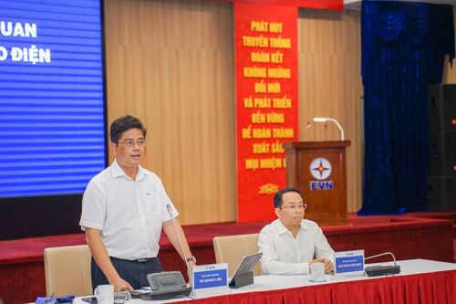Ông Võ Quang lâm, Phó Tổng giám đốc EVN trao đổi tại cuộc họp. Ảnh: Văn Giáp/BNEWS/TTXVN