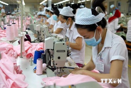 Doanh nghiệp Việt Nam chủ động nâng cao năng lực sản xuất trong nước, đồng thời gắn kết sâu hơn vào chuỗi cung ứng toàn cầu. Ảnh minh họa: TTXVN 
