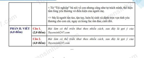 Đáp án đề thi vào lớp 10 năm 2025 môn Văn tại Bến Tre. Nguồn ảnh: tuyensinh247